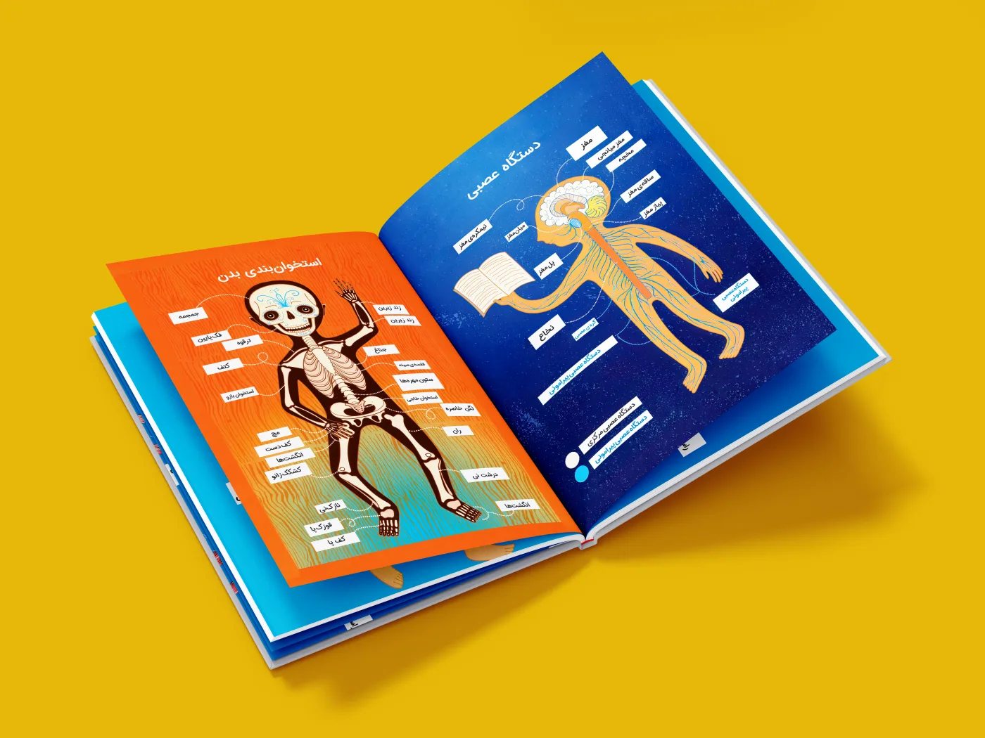 Infographic-style educational book layout